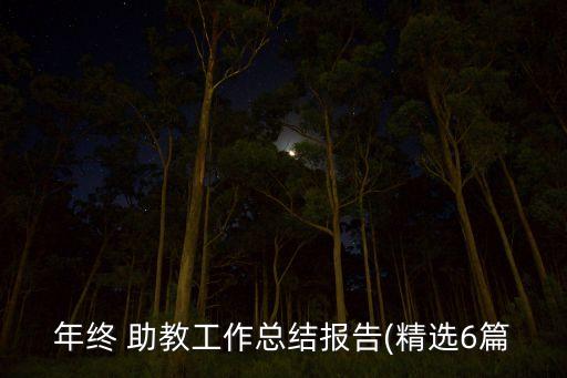 舞蹈课堂助教感言,家长进课堂舞蹈助教方案