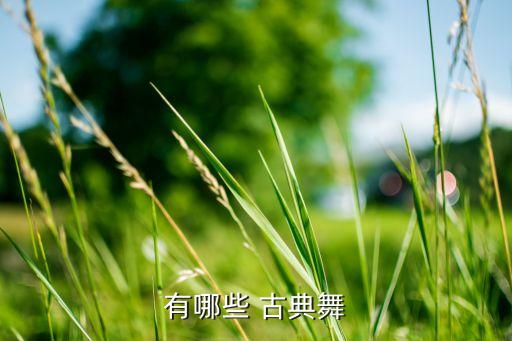 有哪些 古典舞