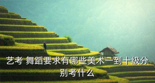 艺考 舞蹈要求有哪些美术一到十级分别考什么
