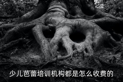 少儿芭蕾培训机构都是怎么收费的
