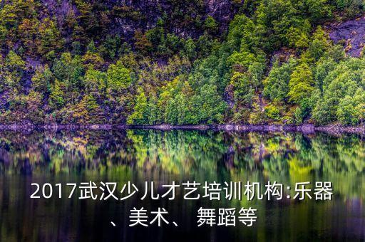 2017武汉少儿才艺培训机构:乐器、美术、 舞蹈等