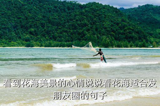 看到花海美景的心情说说看花海适合发朋友圈的句子