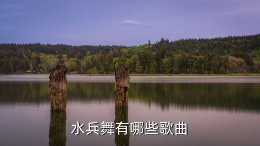 水兵舞有哪些歌曲