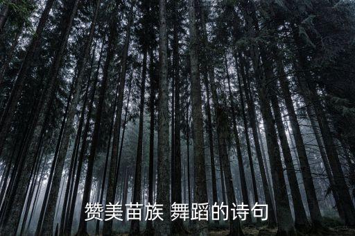 赞美苗族 舞蹈的诗句
