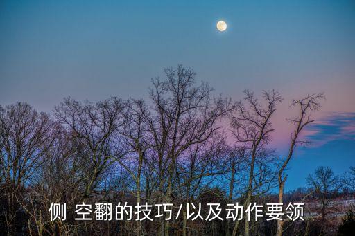 舞蹈侧空翻怎么练,舞蹈技巧侧空翻教学