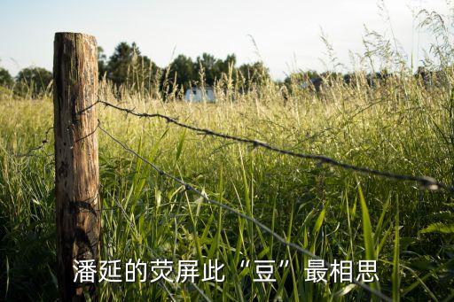 潘延的荧屏此“豆”最相思