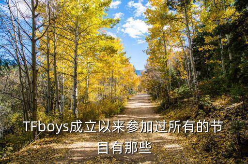 大梦想家舞蹈视频T