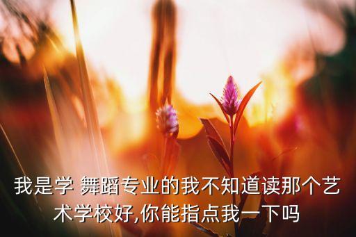 我是学 舞蹈专业的我不知道读那个艺术学校好,你能指点我一下吗