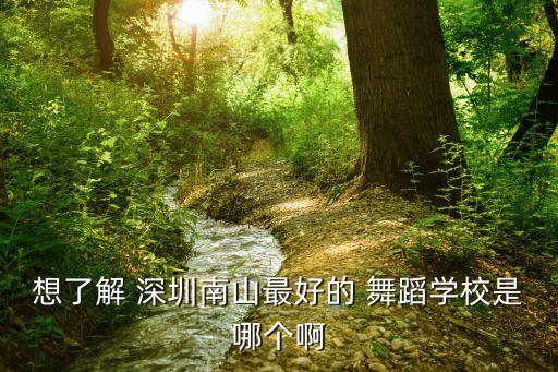 想了解 深圳南山最好的 舞蹈学校是哪个啊