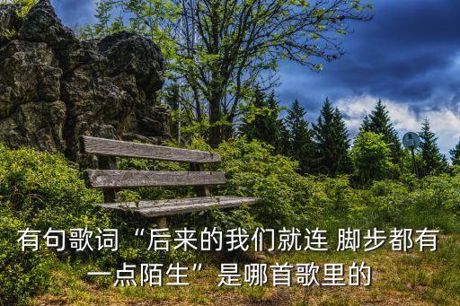 盛晓玫歌曲 脚步舞蹈视频,脚步盛晓玫舞蹈视频教学视频