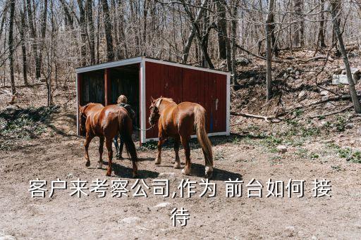 舞蹈学校前台接待话术,舞蹈培训机构前台接待话术
