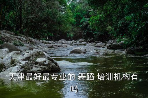 天津最好最专业的 舞蹈 培训机构有吗