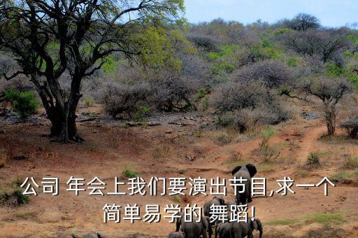公司 年会上我们要演出节目,求一个简单易学的 舞蹈!