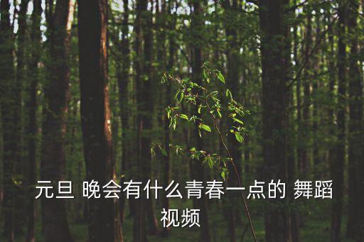  元旦 晚会有什么青春一点的 舞蹈视频