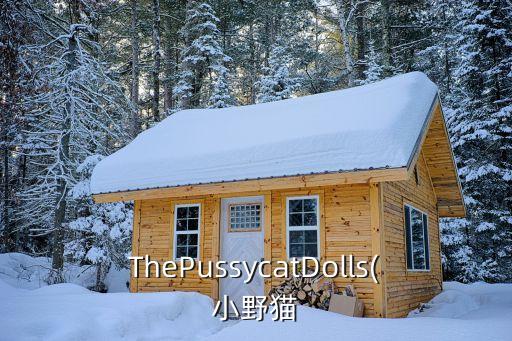 ThePussycatDolls(小野猫