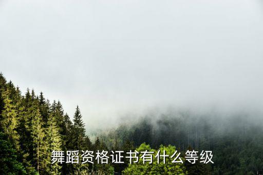 河北省承德市舞蹈考级