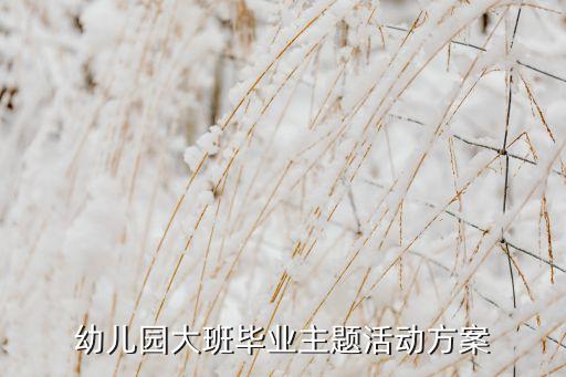 太阳花舞蹈动作,拿太阳花的舞蹈动作