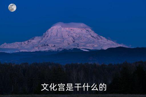  文化宫是干什么的