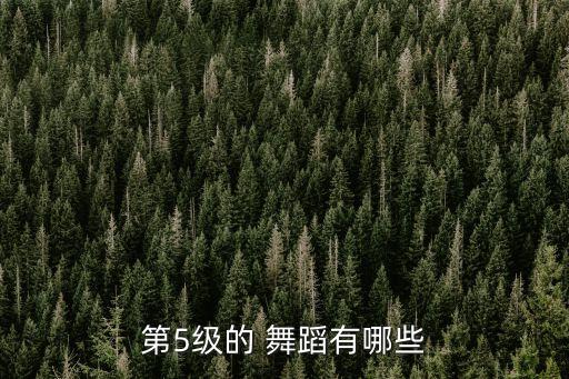 第5级的 舞蹈有哪些