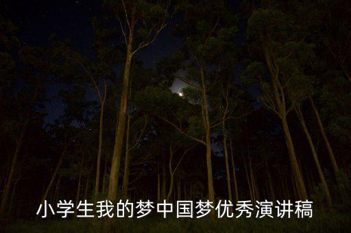 小学生我的梦中国梦优秀演讲稿