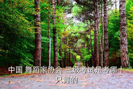 北京舞蹈考级三级小狗,我和小狗来唱歌考级舞蹈视频