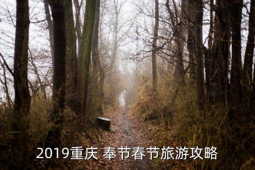 奉节哪里可以学舞蹈,奉节儿童舞蹈培训哪里有