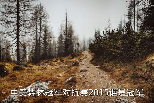 之后舞蹈张娅姝,中国好舞蹈张娅姝《风》