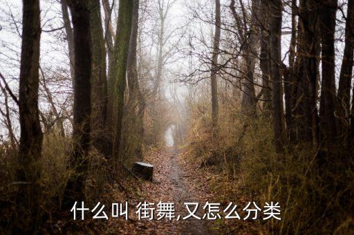 什么叫 街舞,又怎么分类