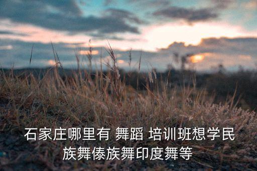 石家庄儿童舞蹈培训