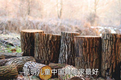  昆明儿童中国舞哪家最好