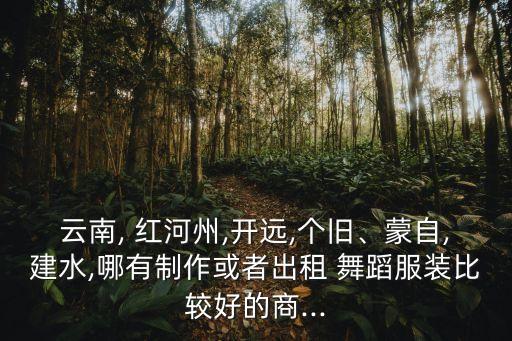 云南, 红河州,开远,个旧、蒙自,建水,哪有制作或者出租 舞蹈服装比较好的商...