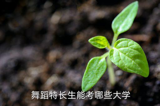  舞蹈特长生能考哪些大学