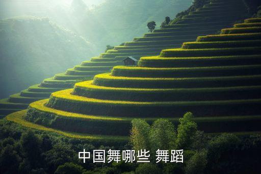 中国舞哪些 舞蹈