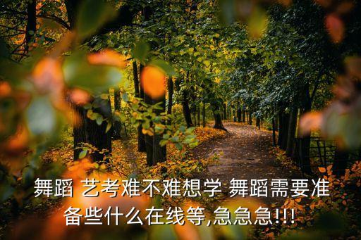 艺考舞蹈学期计划,大学舞蹈生学期计划500字