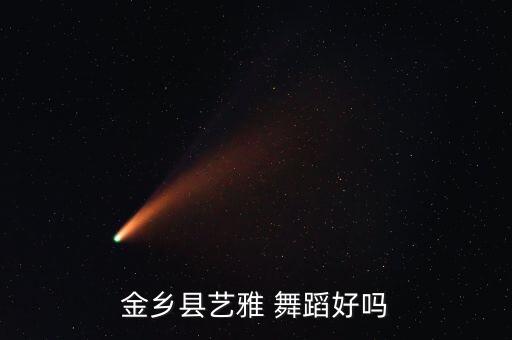 舞蹈培训学校网站,舞蹈艺考培训学校