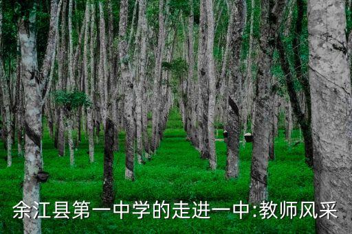 余江县第一中学的走进一中:教师风采