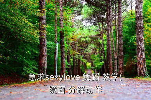 急求sexylove 舞蹈 教学(镜面 分解动作