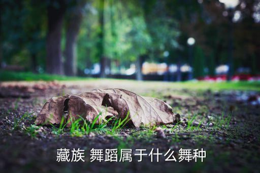 秦李桐藏族舞蹈境