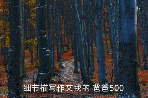 关于爸爸的舞蹈视频下载,教会最新最好舞蹈视频下载
