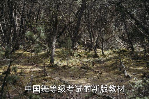 中国舞等级考试的新版教材