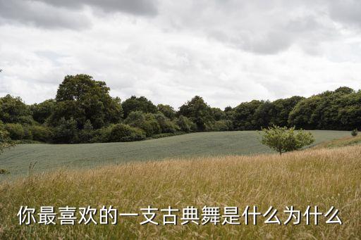 你最喜欢的一支古典舞是什么为什么