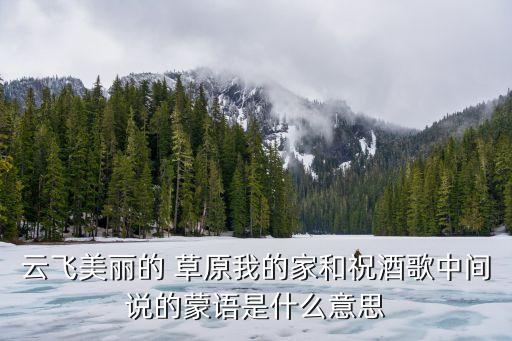 广场舞蹈草原祝洒歌,草原祝洒歌歌词