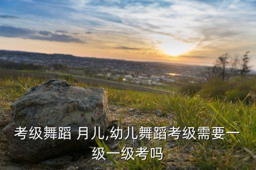 幼儿考级舞蹈 月儿,幼儿舞蹈考级需要一级一级考吗