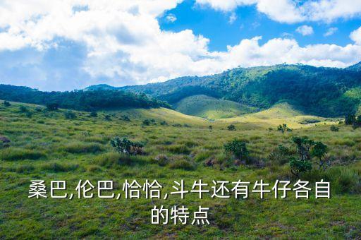 桑巴,伦巴,恰恰,斗牛还有牛仔各自的特点