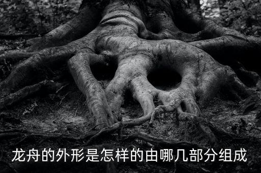 龙舟的外形是怎样的由哪几部分组成