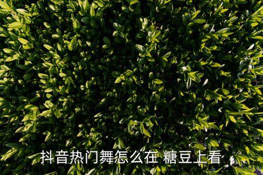 抖音热门舞怎么在 糖豆上看