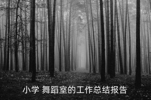 小学 舞蹈室的工作总结报告