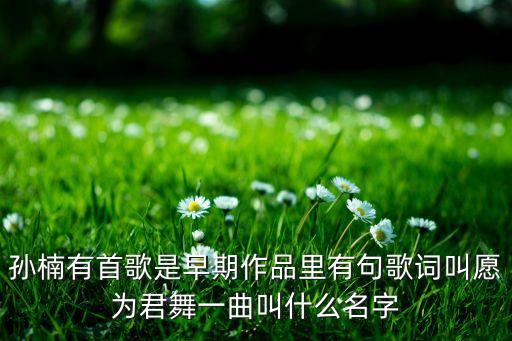 孙楠有首歌是早期作品里有句歌词叫愿为君舞一曲叫什么名字