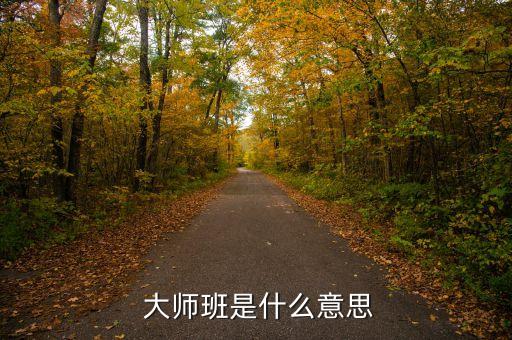 舞蹈大师班的意义,幼儿园舞蹈班的意义