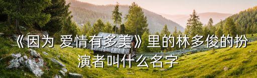 《因为 爱情有多美》里的林多俊的扮演者叫什么名字